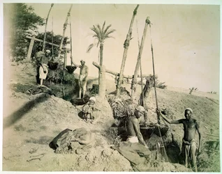 Shadufs en Haute-Égypte